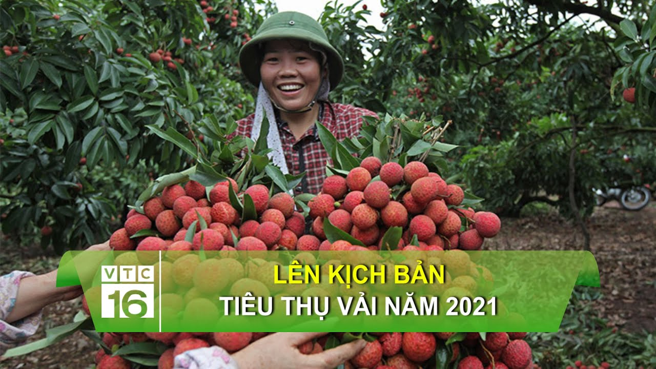 Thử thách Tiếng Việt: 'Giầy dép' hay 'giày dép'?