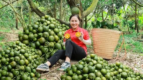 Học phí các trường kinh tế, cao nhất 230 triệu đồng/năm