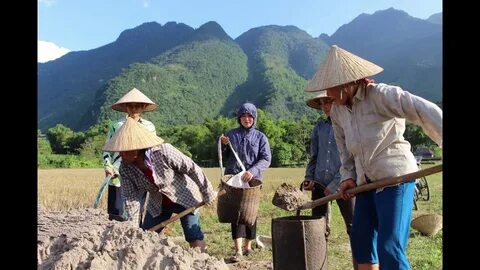 'Con sắp thi lớp 10, cả nhà tôi như bị câm'